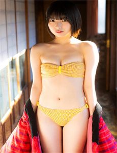 皇家大贼