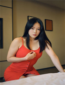 四大才子电视剧